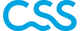 logo_CSS